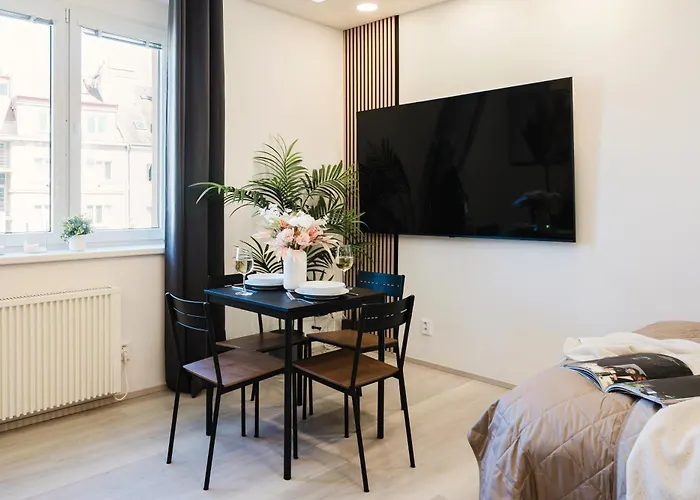 Days - Near Vysehrad With Netflix And 250mbs Wifi In Nusle Prague