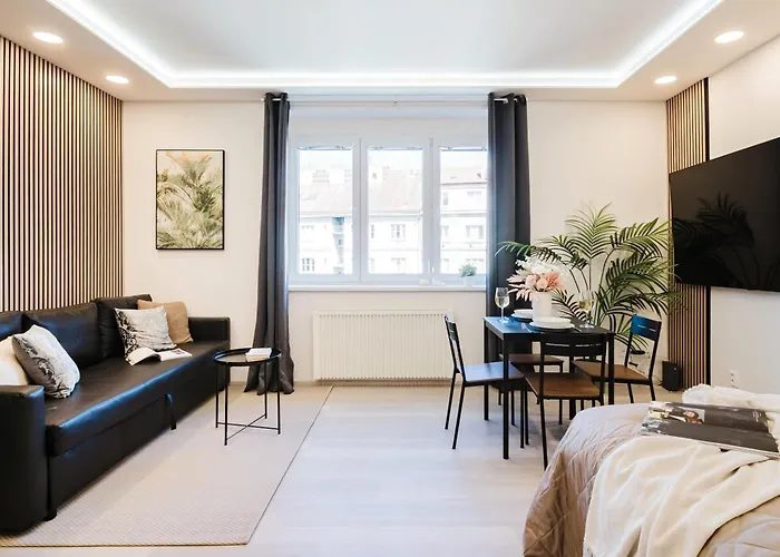 Days - Near Vysehrad With Netflix And 250mbs Wifi In Nusle *