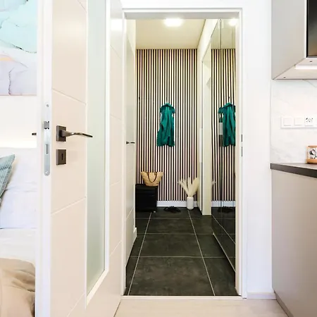 Days - Near Vysehrad With Netflix And 250mbs Wifi In Nusle アパート *