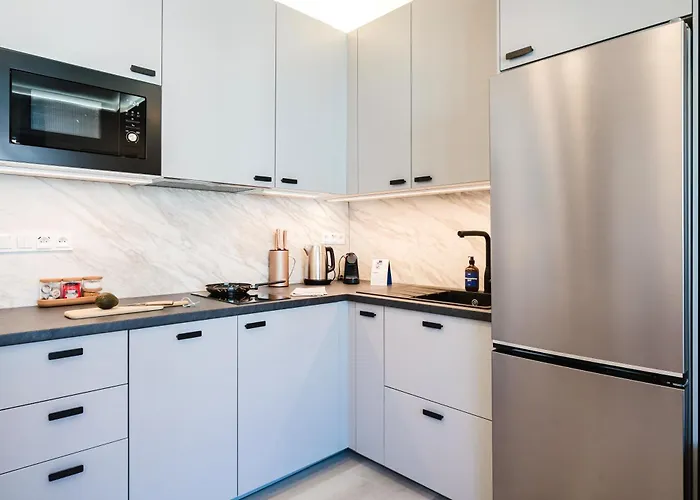 Days - Near Vysehrad With Netflix And 250mbs Wifi In Nusle Prag